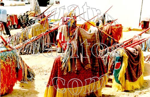 Maracatu 0108