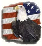 Bald eagle