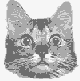 Mel: gato cachorro