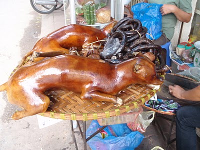 Cachorro asssado em Hanói