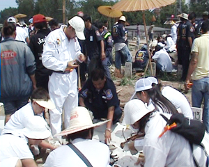 Cemetery Clean Up