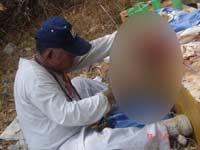 Falsa história de canibalismo