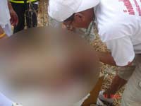Falsa história de canibalismo