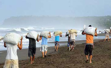 Ondas no rio Solimões?