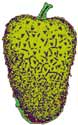Graviola